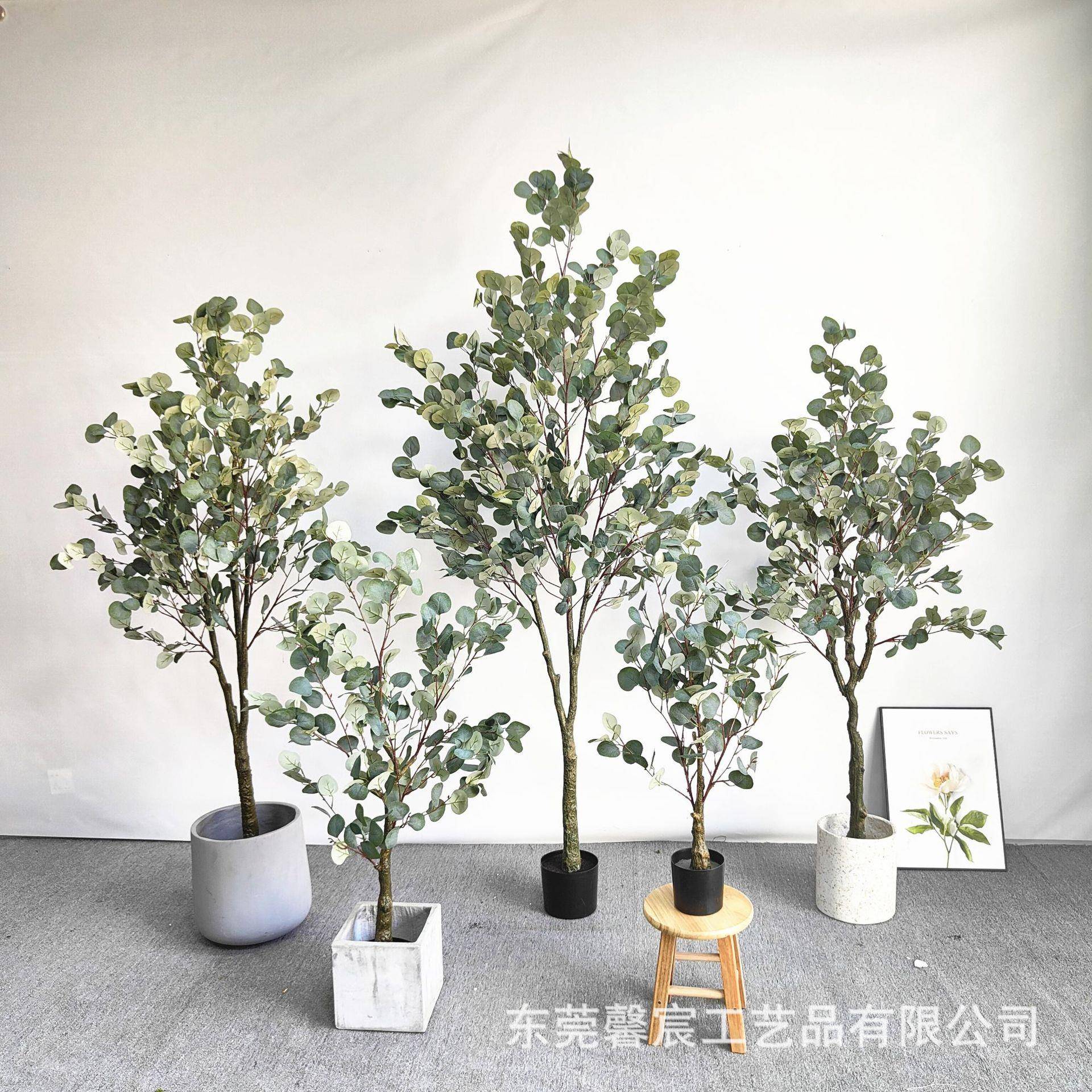 尤加利盆栽仿真橄榄内树室外客厅电植视柜旁仿真树绿JTP金钱拍照