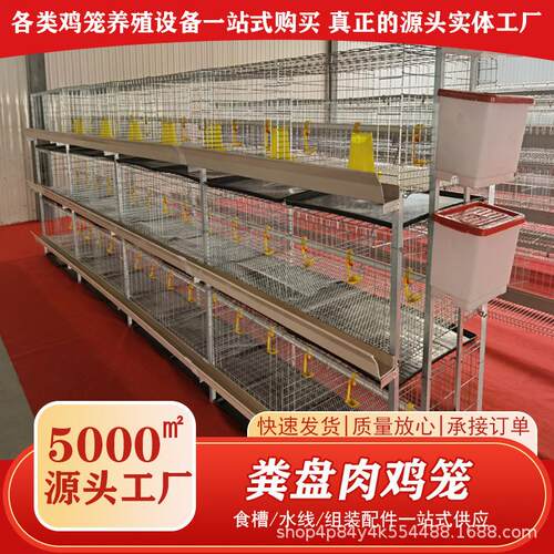 粪盘肉鸡笼养殖场养鸡立体笼四层家禽镀锌养殖笼畜牧农用养殖鸡笼