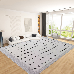 硅藻丝防水免洗免打理可擦轻奢高级感家用 地毯客厅2024新升级新款