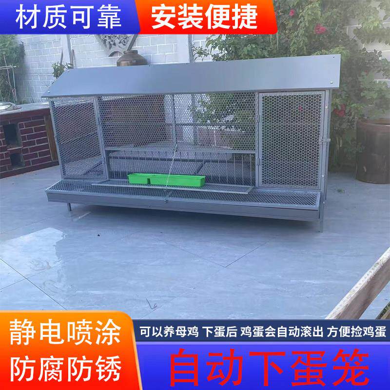 鸡笼子家用室外防雨自动收蛋防啄防黄鼠狼防鼠加厚防锈下蛋养殖笼
