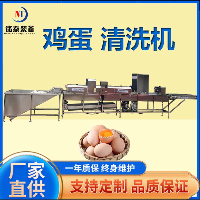 活珠洗蛋 鸡蛋清机洗风干设备喷 鸡蛋鸭蛋子保洁消毒码流XOR水线
