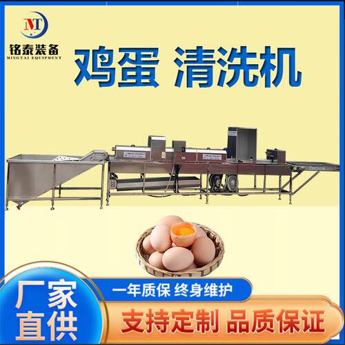 活珠子洗 蛋机鸡蛋清洗风干设备TTH 蛋鸭蛋保洁鸡毒喷码流水消线