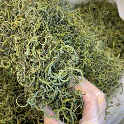 【杨姐姐】长白山肾精茶东北化石草肾精草茶50gAI