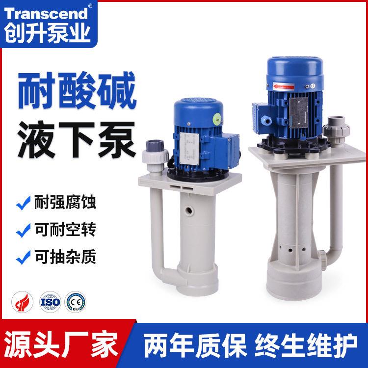 厂家定制立式液下泵Transcend工程氟塑料PP耐酸可空转液下泵