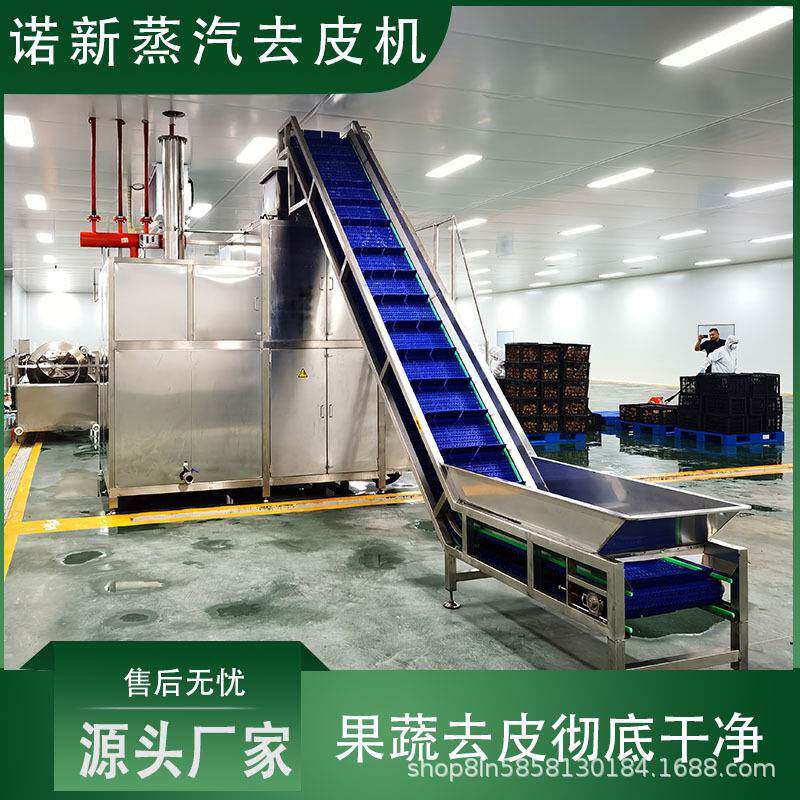 葡萄蒸汽去皮机不伤果肉批量去皮红薯去皮设备马铃薯脱皮机