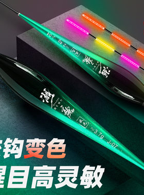 电子变色夜光批发重力感应浮漂