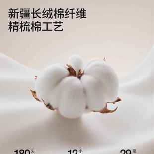 YYF发垫新全棉固定防滑纯棉2025款 子沙发垫秋冬皮沙发专沙用盖布