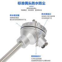 S型耐高溫熱電偶/鉑銠熱電偶/WRP-130型/0-1600度/剛玉鉑銠偶測溫