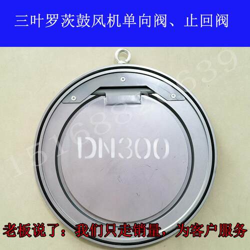 三叶罗茨鼓风机DCV型单向止回阀 管道逆止阀 蝶阀 DCV-100 200