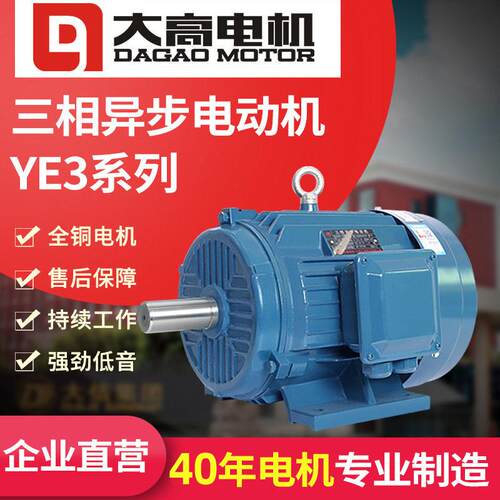 大2极4极YE3三相异步电动机0.38W-280W变频调速电机机械电机