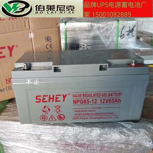 6512V65AH光伏太阳能发电路灯照明电瓶 SEHEY西力蓄电池NP12