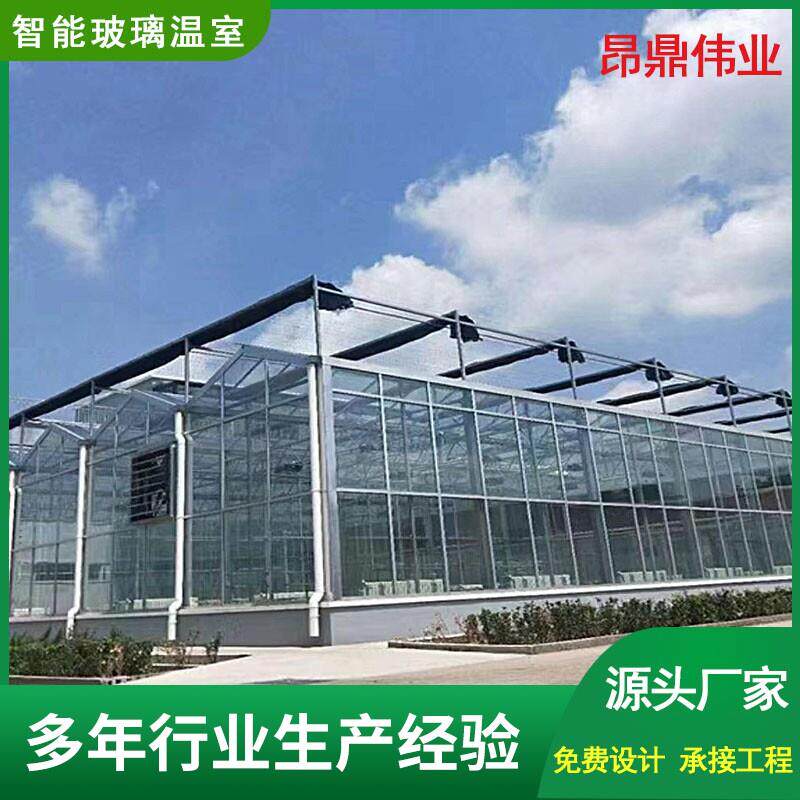 智能玻璃温室大棚阳光板自动化大棚内外遮阳系统连体农业蔬菜温室