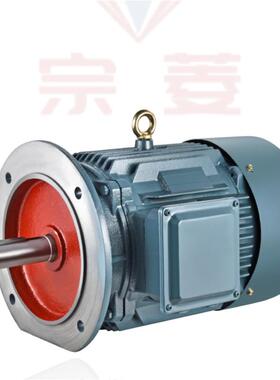 三相异步电机45/55/75/90/110/132KWYE2-315L1-4 160KW 4极电动机