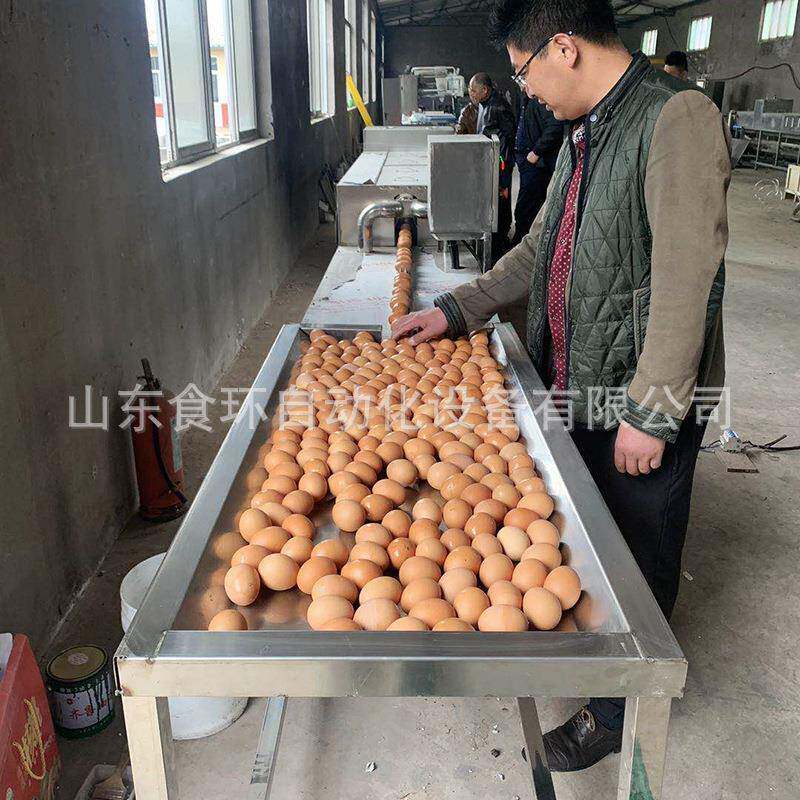 鸡蛋清洗杀菌机蛋品清洗机鹅蛋清洗机多少钱洗鹅蛋的设备
