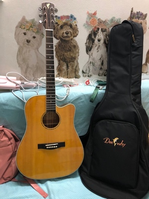 口碑评论德威海豚SOLO-B/DX-D吉他怎么样，分享下我的体验感受