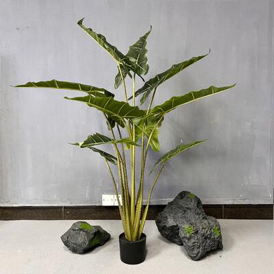 北欧ing风萨利安海芋绿植盆栽家具造景摆件装饰热带大叶片假绿植