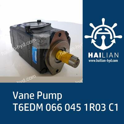 Hydraulic pump T6EDM 066 045 1R03 C1 ship spares 船用液压泵