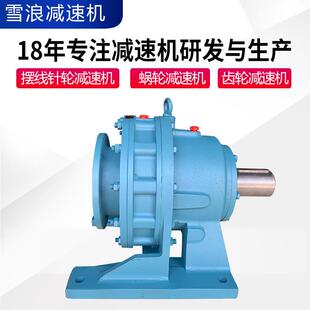 RBT立摆针式 减速器国标芯 小型式 行星摆线针速轮铜减机带电机卧式