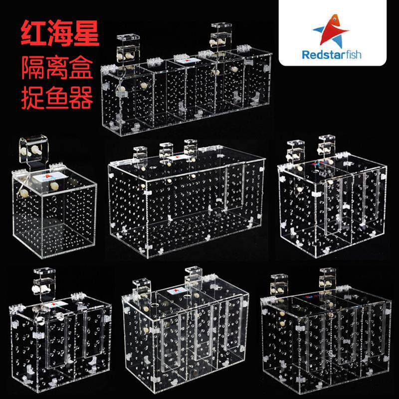 RED STARFISH红海星鱼缸亚克力隔离盒隔离箱捉鱼器水族箱大中小号