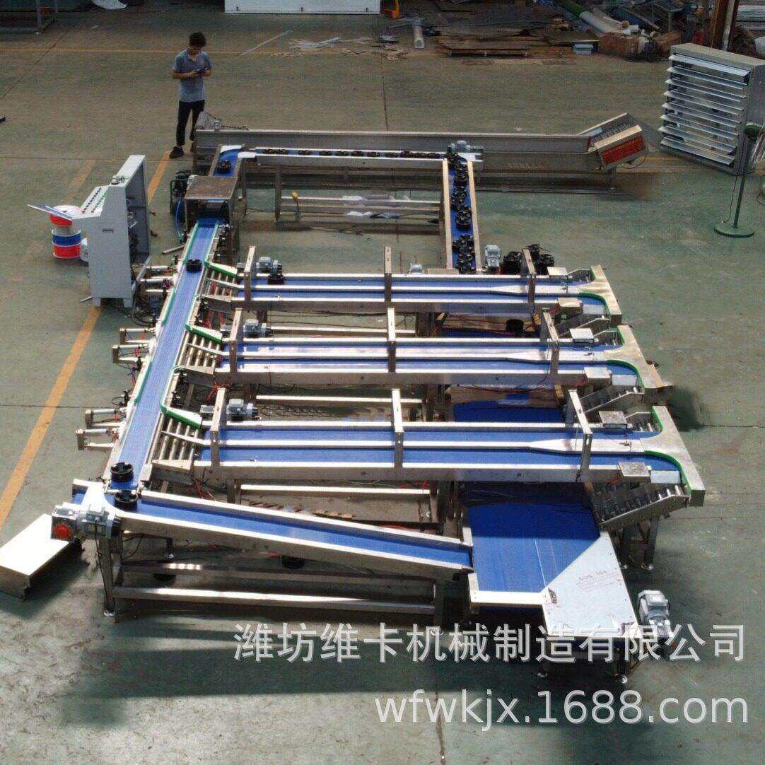 软籽石榴分拣机 无损分选机 水果重量选果机 油桃色选分拣设备
