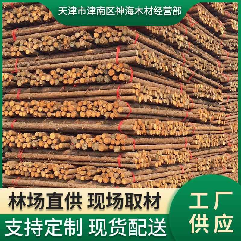 厂家供应现货绿化杉木支撑杆高压防护杉木杆各种长度大小木料