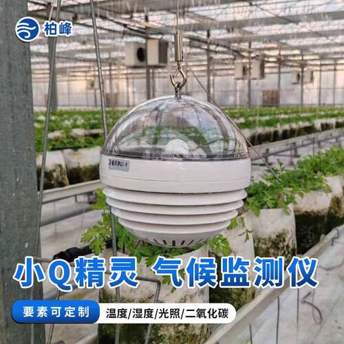 温室大棚温度湿度光照二氧化碳监测终端小Q精灵气象仪农业大棚