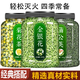 菊花茶金银花蒲公英野生特级商用胎菊去火清热解毒