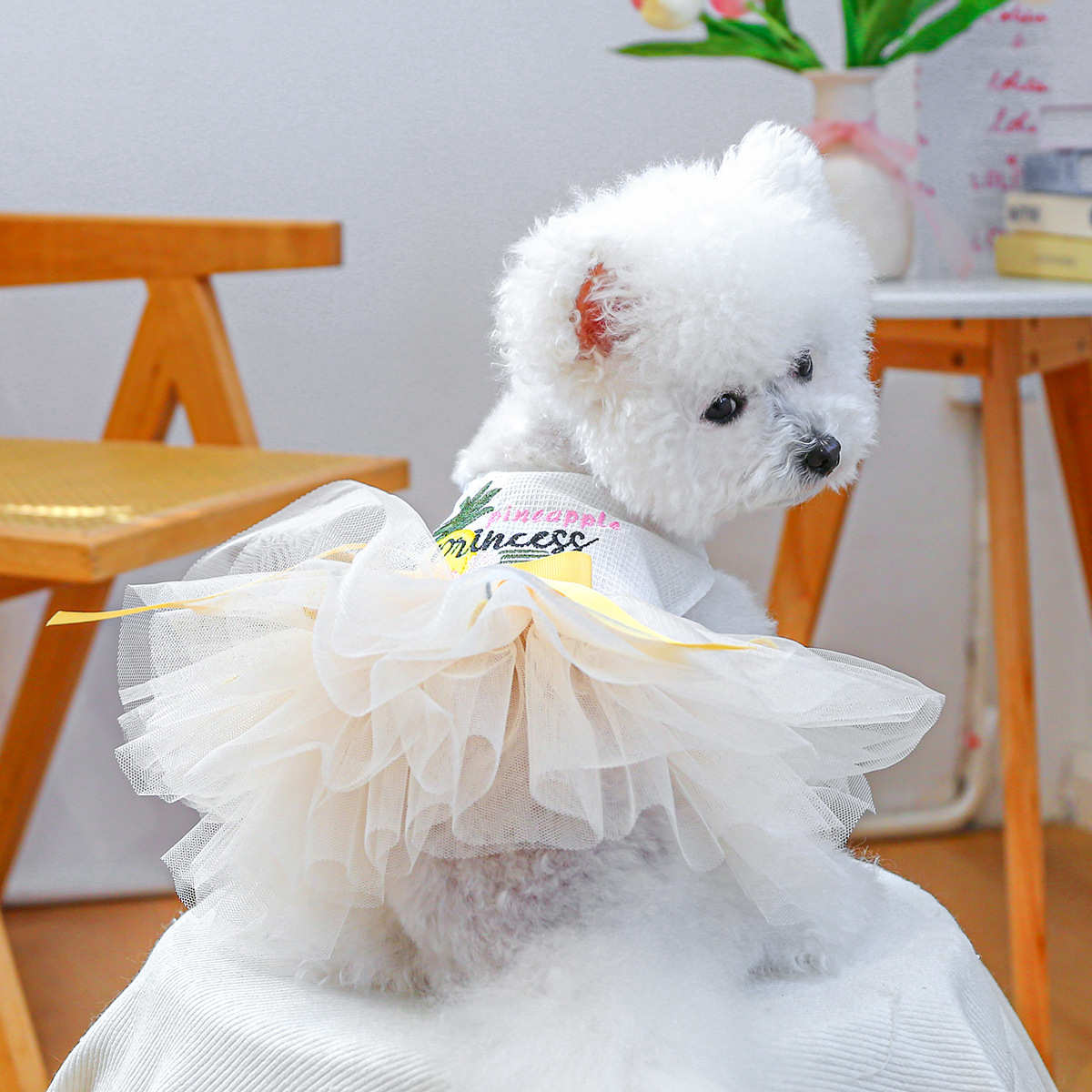 衣服宠物现货批发圈外贸petcircle纱裙直销宠物狗狗厂家菠萝