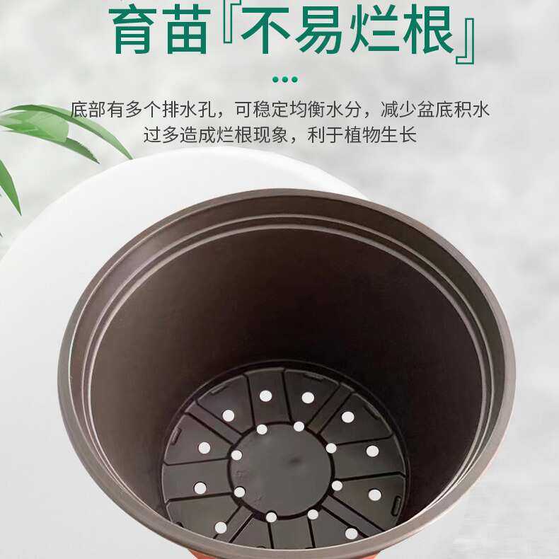 双色盆育苗盆 一次性育苗盆多肉绿植双色花盆育苗杯软吸塑料花盆,鲜花速递/花卉仿真/绿植园艺,花盆,淘宝优惠券,粉丝福利购,淘宝优惠卷