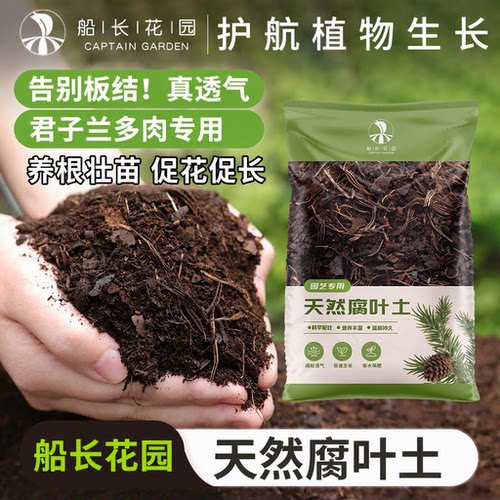 森林腐叶土天然腐熟松针筋腐殖土