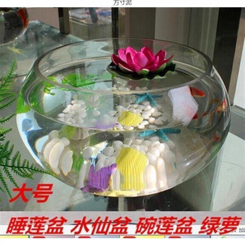 水培玻璃花透明大号水仙盆碗莲盆睡莲花盆乌龟鱼缸水养植物器皿