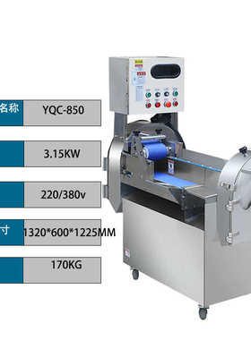 850段双头食堂全自动切多功能 商用切菜机丁切菜机切切片工厂切丝