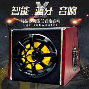 厂家汽车音响有源低音炮10寸音响功放110v220v车载音箱重低音改装