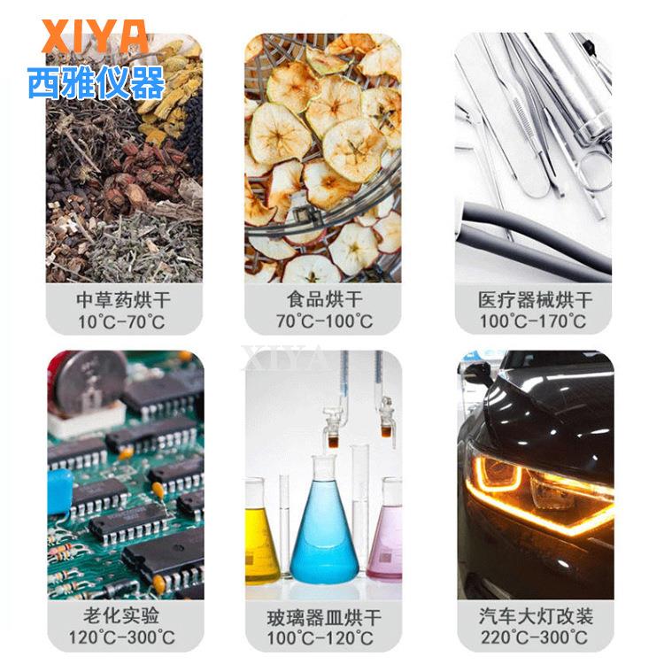 立式干箱立恒燥温试箱验高低立式干燥温式不锈钢干燥箱