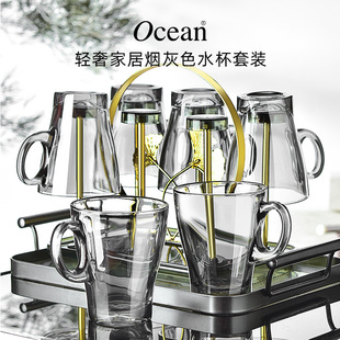 喝水杯家用耐热凉水壶 ocean鸥欣客厅玻璃茶杯子带把手轻奢套装