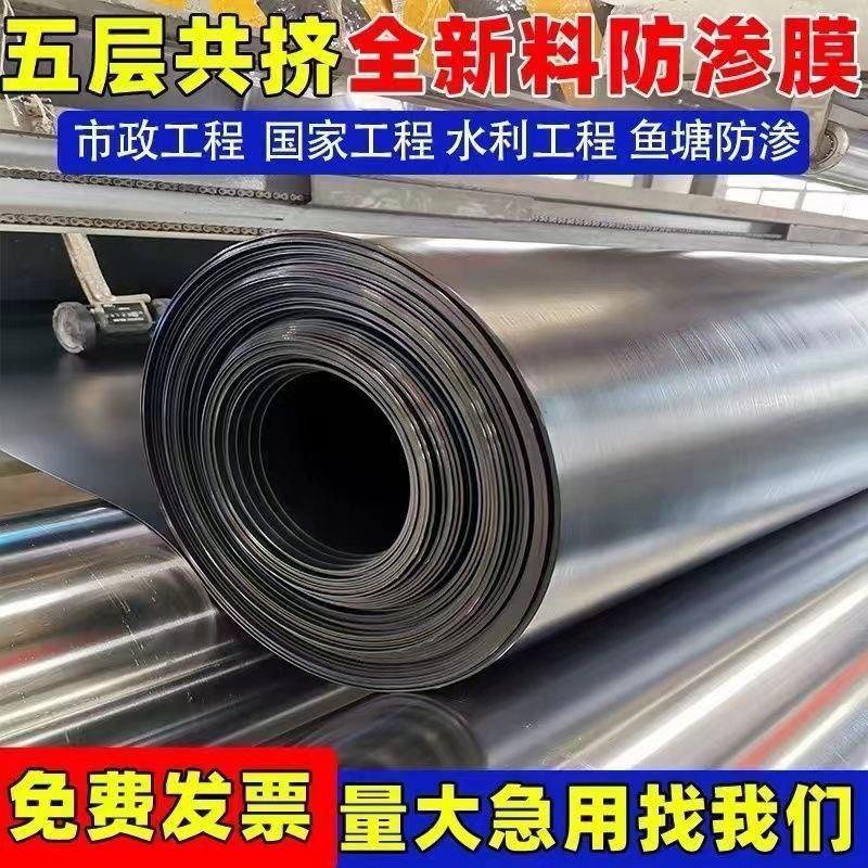 鱼塘防渗膜防漏加厚鱼池化粪池防水布蓄水池藕池护坡防膜专用塌陷