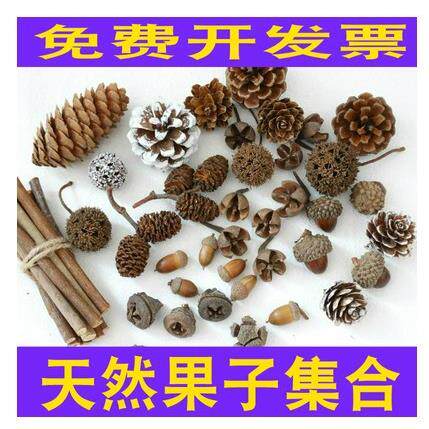 干花装饰棉花橡果松果树枝树叶莲蓬创意diy幼儿园手工环创材料包