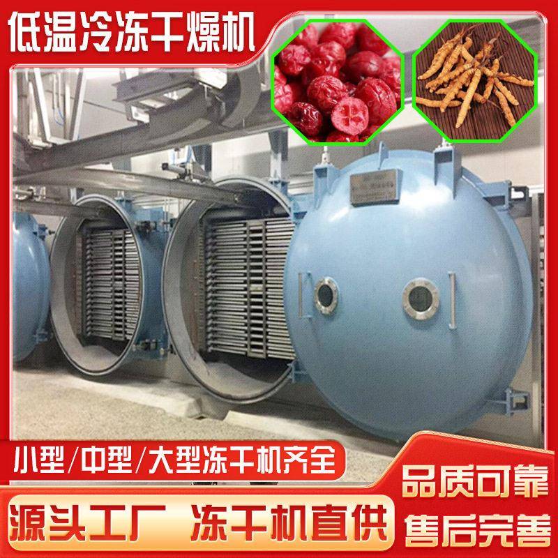 效冻干南瓜丁苹果片低温冷冻干燥机设备中大型食品冻干机工业