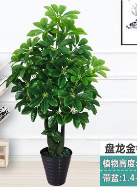 假花金钱树彷真植物假树花卉婚庆绿叶盆栽客厅室内家饰落地盆景花