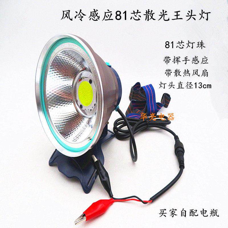 九核12v头灯强光LED户外夜钓鱼灯高亮远射聚光大光斑24v感应灯头