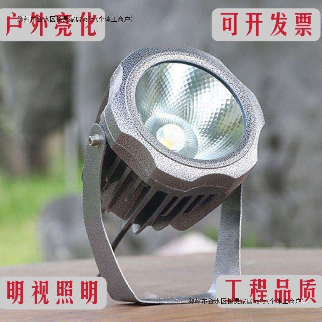 led超亮聚光射灯户外投光灯防水照树灯外墙亮化工程灯广告投射灯