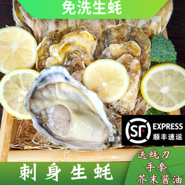 刺身级生蚝特大牡蛎鲜活5斤海蛎子整箱海鲜生吃新鲜烧烤