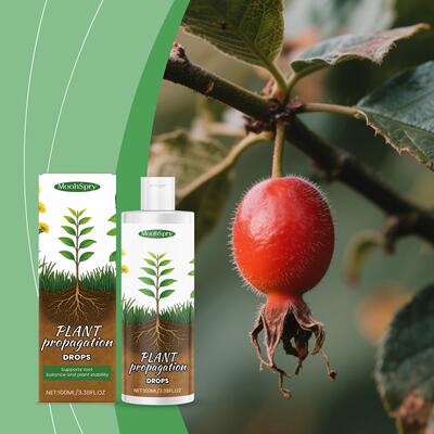 MOONSPRY Plant Nutrient Drops - Universal Hydration and Care