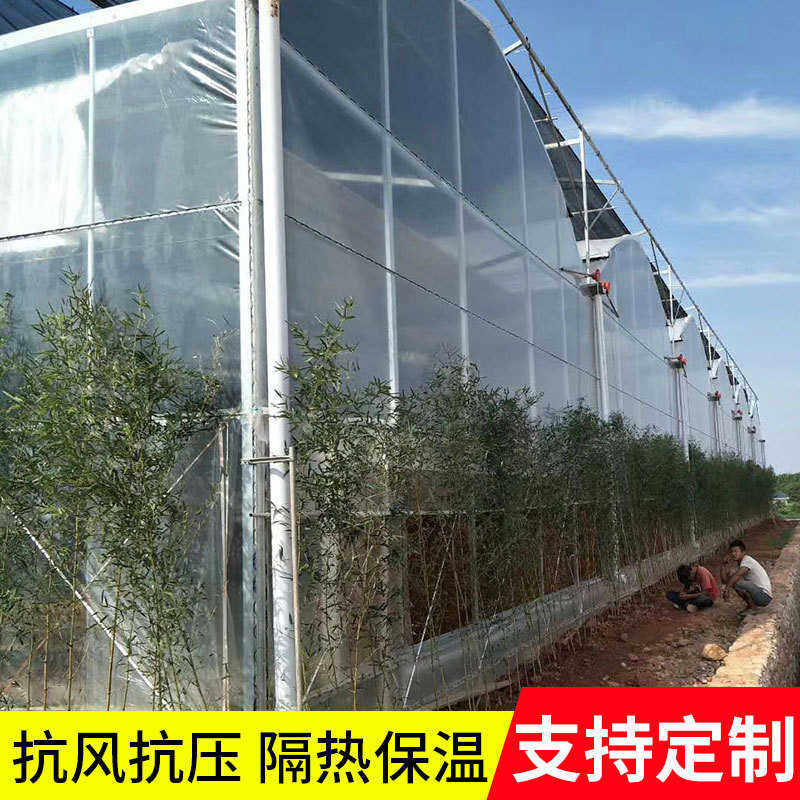 草莓育苗连养殖棚骨架大棚连养殖钢架栋  制栋定单体日光温室大棚
