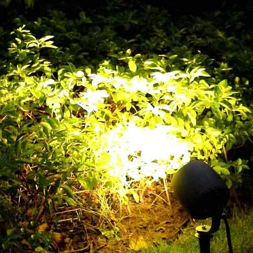 景观射你树灯照树灯庭院草坪地LC-JB038灯插户外迷酒小射灯杯形投