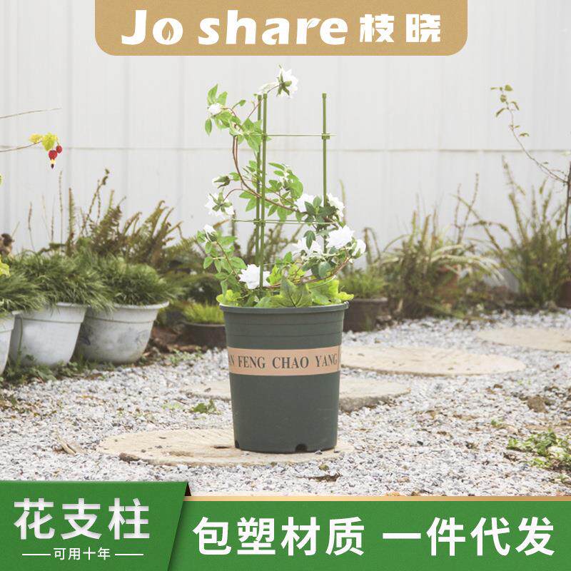 枝晓 包塑爬藤架花支柱植物攀爬架室内外蔷薇月季铁线莲花支架