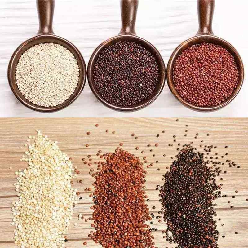 藜麦粉膨化机设藜麦营养粉生产LUZ速溶营养线米粉加机工械备
