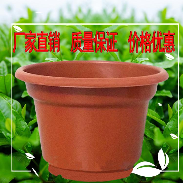塑料花盆基地种植多肉盆育苗盆种菜盆绿植AB型圆反边红色花盆热销