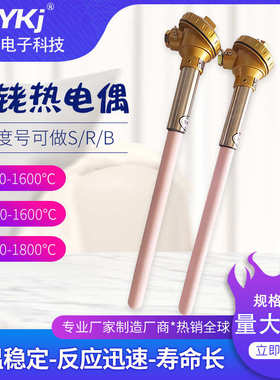 S型铂铑热电偶WRP-130B型R型高温刚玉管0-1600度铂铑热电偶