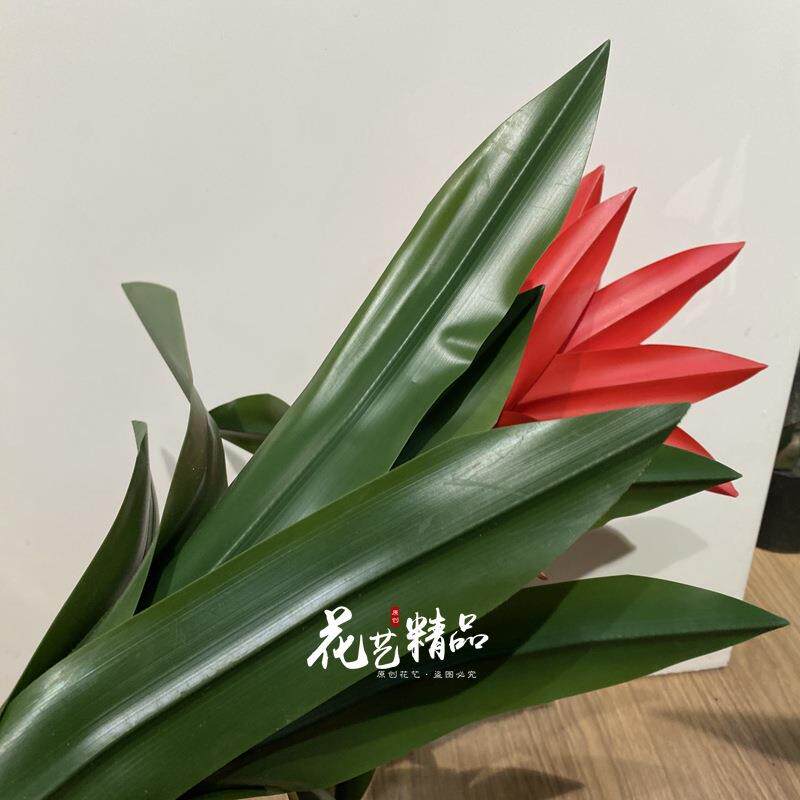 室内造景盆栽高品质混假花户外凤梨/鸿运单只仿真红掌当头束大型